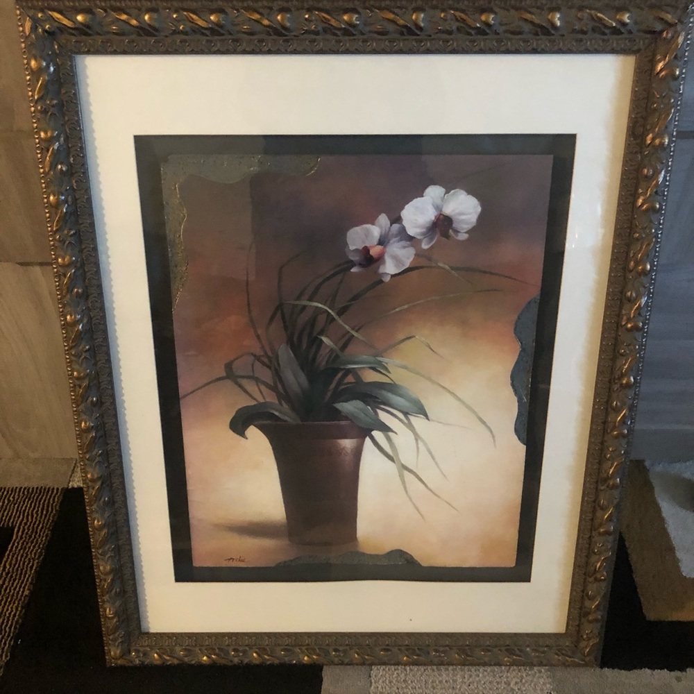 White orchid Picture